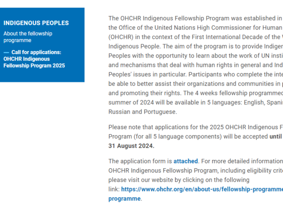 Call for Applications: OHCHR Indigenous Fellowship Program