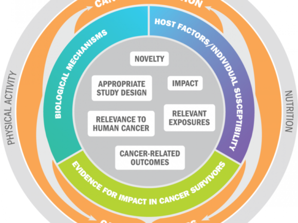 Apply for WCRF Regular Grant Programme