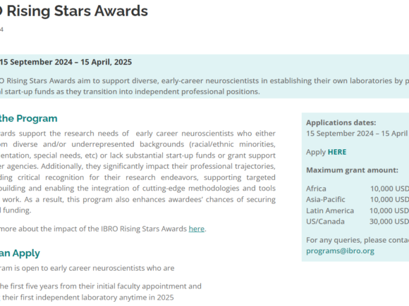 Nominations open for IBRO Rising Stars Awards