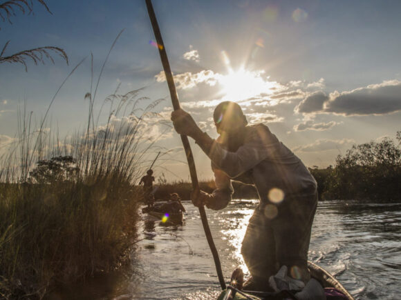 National Geographic Society Grants Program 2024