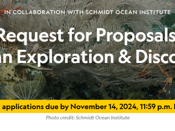 Call for Applications: Ocean Exploration & Discovery