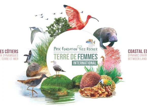 Applications open for International Terre de Femmes Award 2024