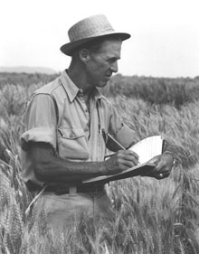 Norman Borlaug Award for Field Research and Application